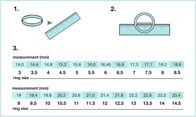 Ring hot sale measurement printout